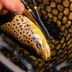 Rogue Hook Removal Forceps 5 Rogue Hook Removal Forceps -fishpond shop rogue hook removal forceps 1